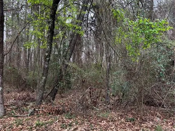 LOT 2 Jana Dr, Pineville, LA 71360