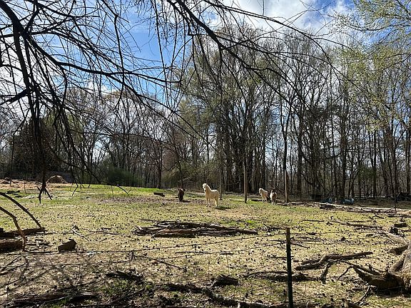 2nd image of 2261 Askew Ferry Rd
