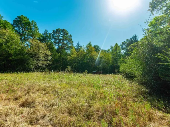 241 County Road 4824, Ben Wheeler, TX 75754