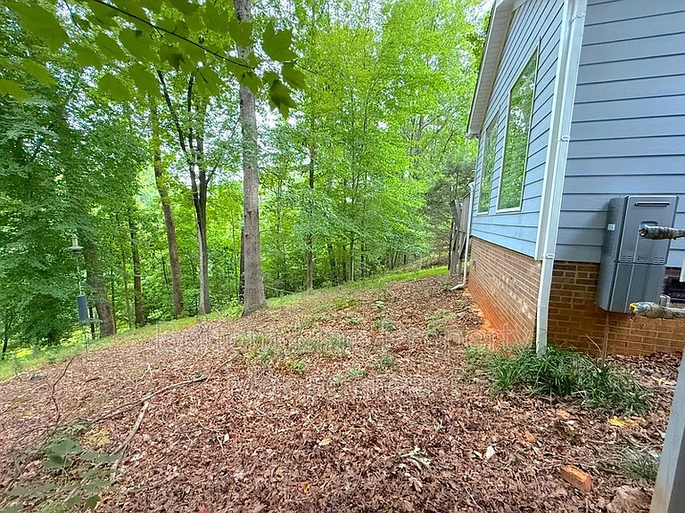 317 Treeline Dr — Photo 22