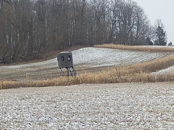 8800 W Territorial Rd, Camden, MI 49232