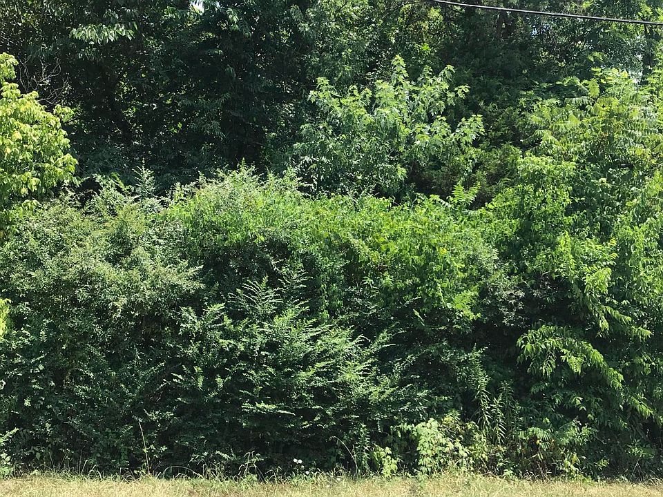 2nd image of 0 Arrowhead Dr