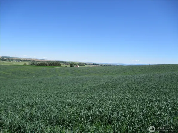 4285 Detour Road, Touchet, WA 99360