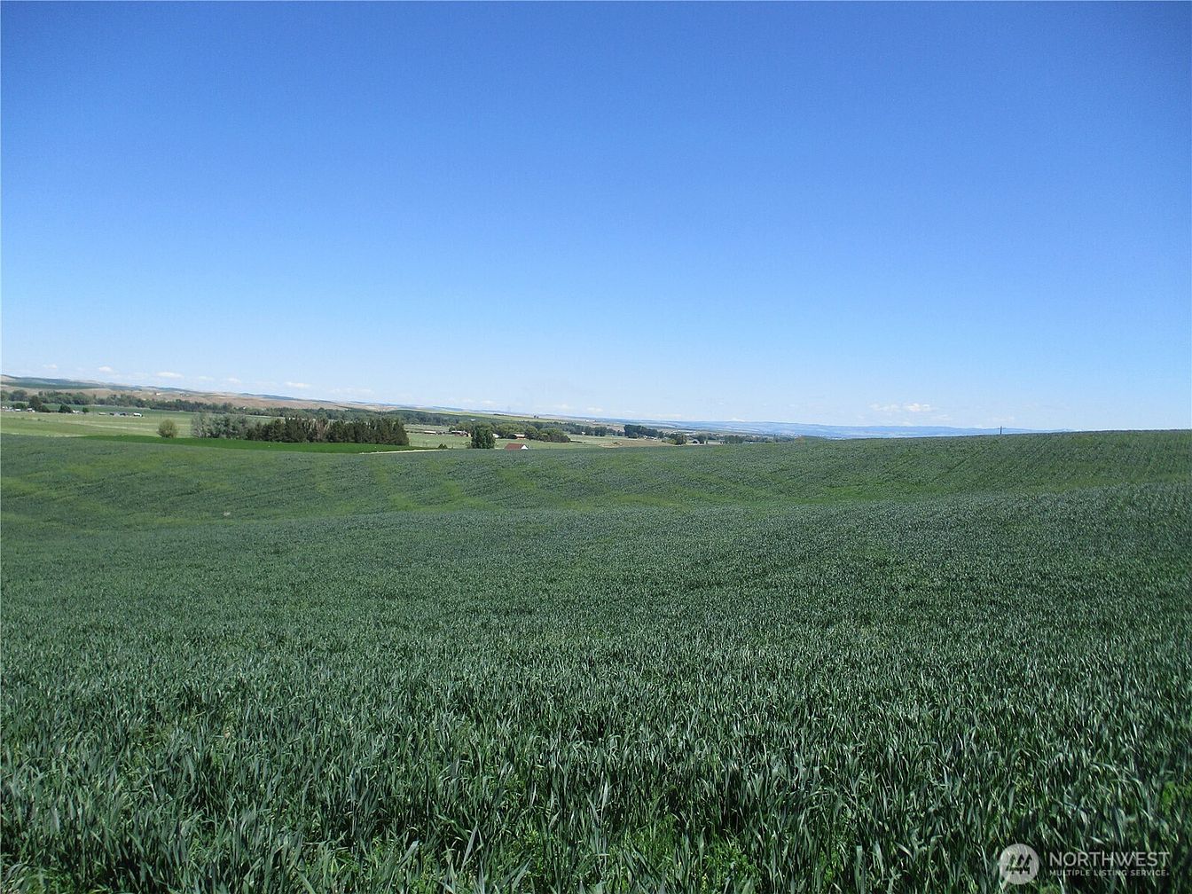 1st image of 4285 Detour Road