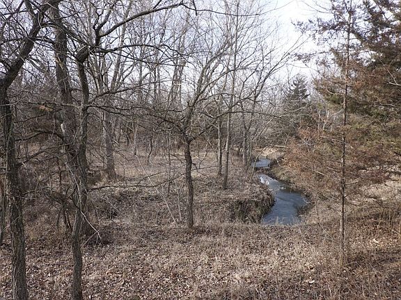 Brushy creek bottom looking north