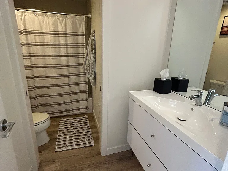 1st Floor Guest bath