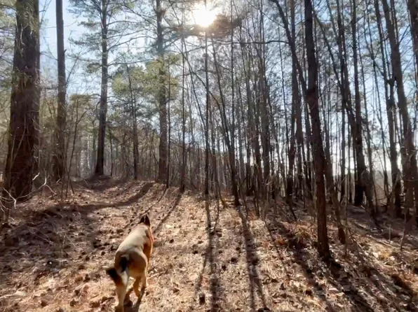 2 W Dry Pond Rd Lot 2, Ranger, GA 30734