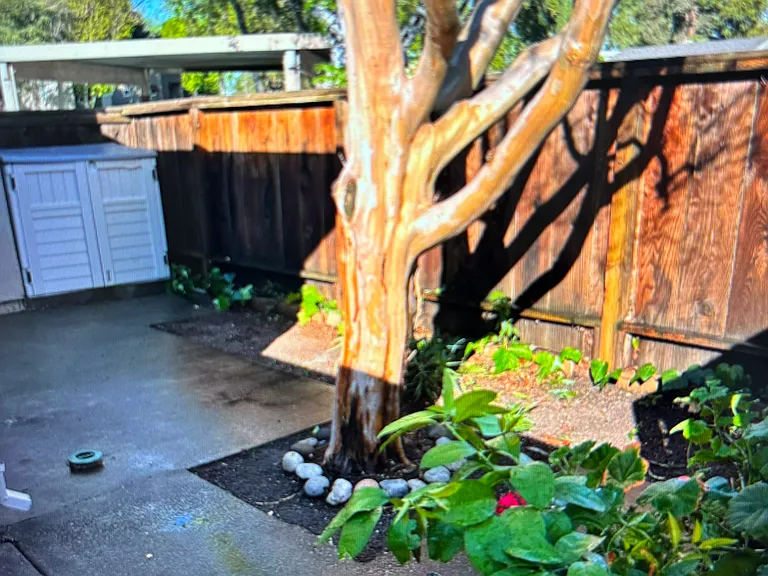 3450 W Benjamin Holt Dr — Photo 6