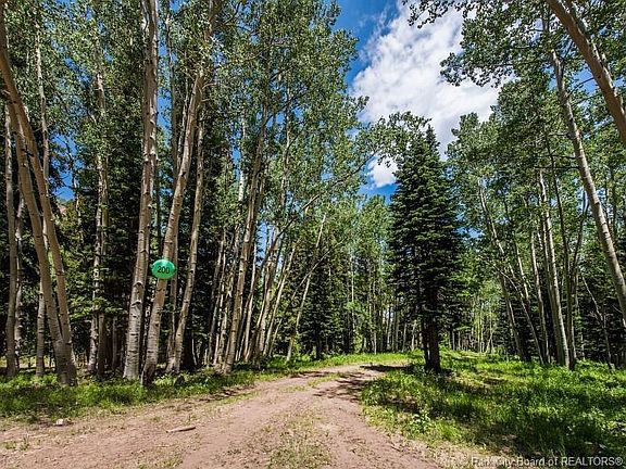 5th image of 200 White Pine Canyon Rd #200