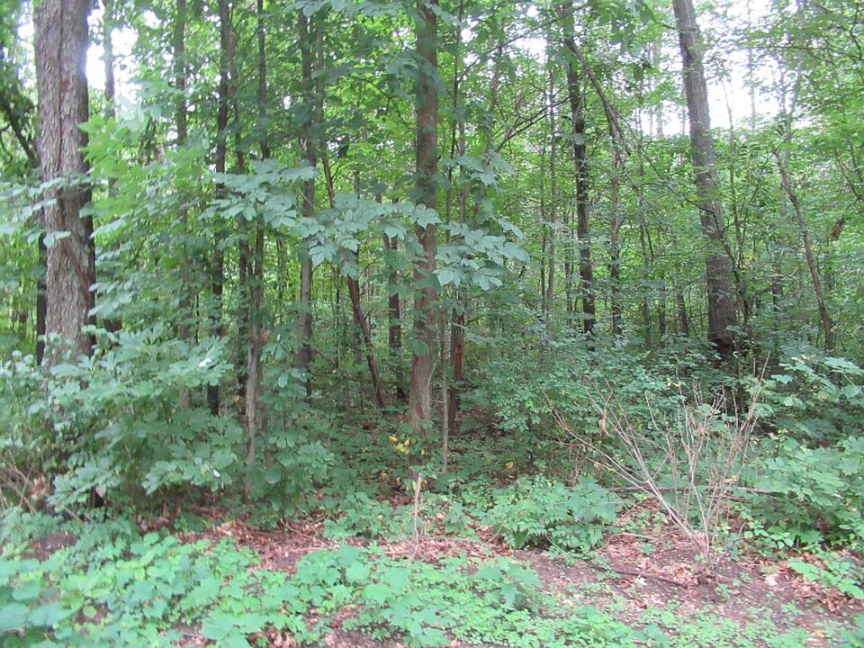 2nd image of TRACT 1 Walnut St