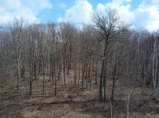 0 W Larson Rd, Winter, WI 54896