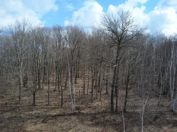 0 W Larson Rd, Winter, WI 54896