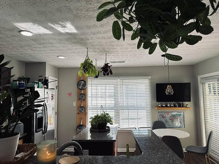 208 Oak Grove Way — Photo 9