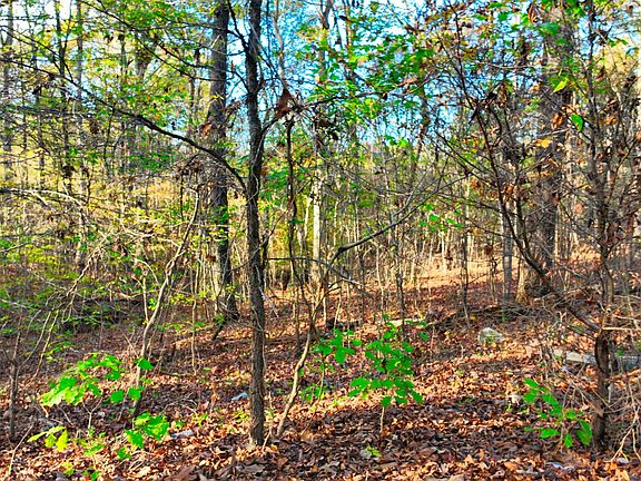 5th image of 0 George St