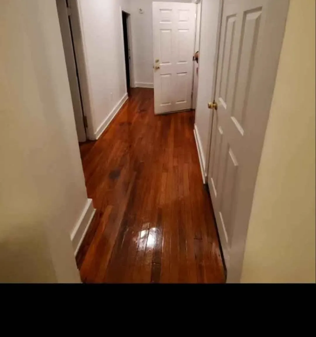 3 bed, 1500 sqft, $3,000 — Photo 3