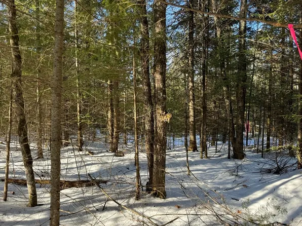 LOT 4 638 Mercer Lake Cres S, Mercer, WI 54547