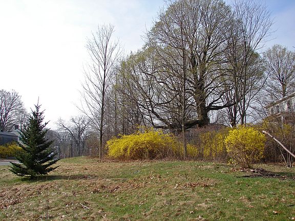 Spring - Willard St (N)