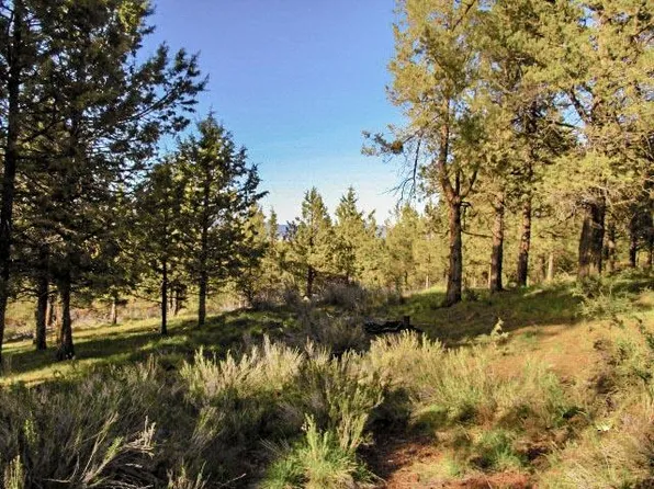 0 Pearson Butte Trl #16, Keno, OR 97627