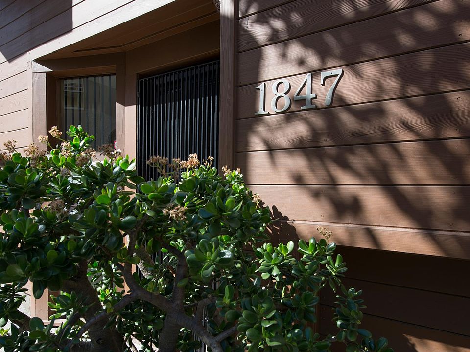 1st image of 1847 Grant Ave #1