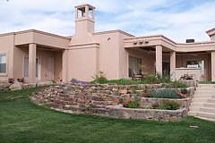 Lush backyard