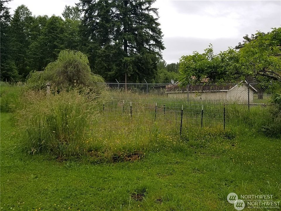 Weather Randle Wa 98377 Unveils Its Natural Wonder