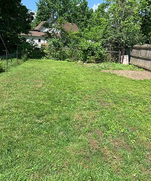 351 Williams back yard - fence on 3 sides