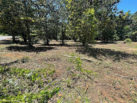 3rd image of 9617 Coriander Ct