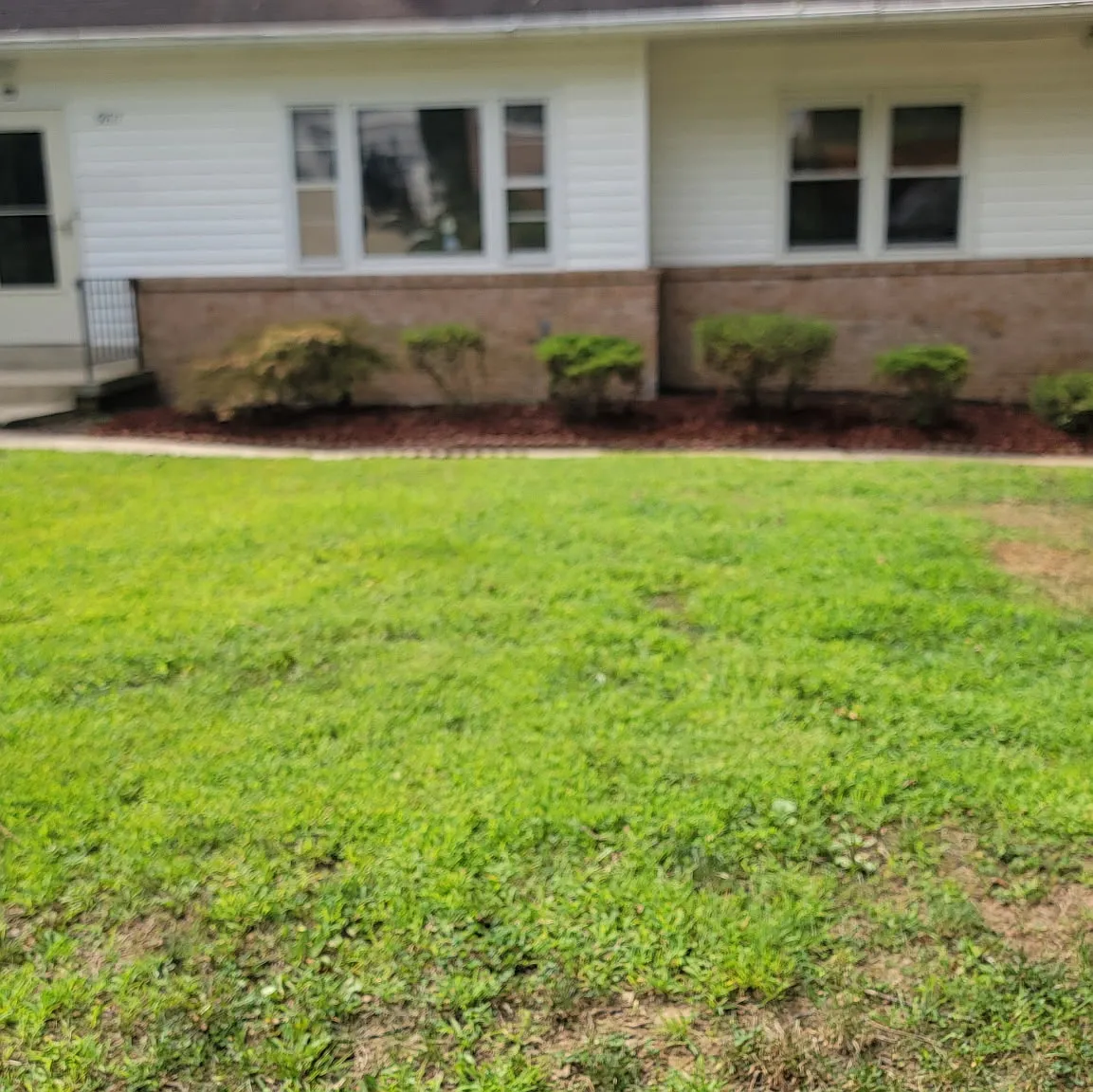 4 bed, 2400 sqft, $3,800 — Photo 2