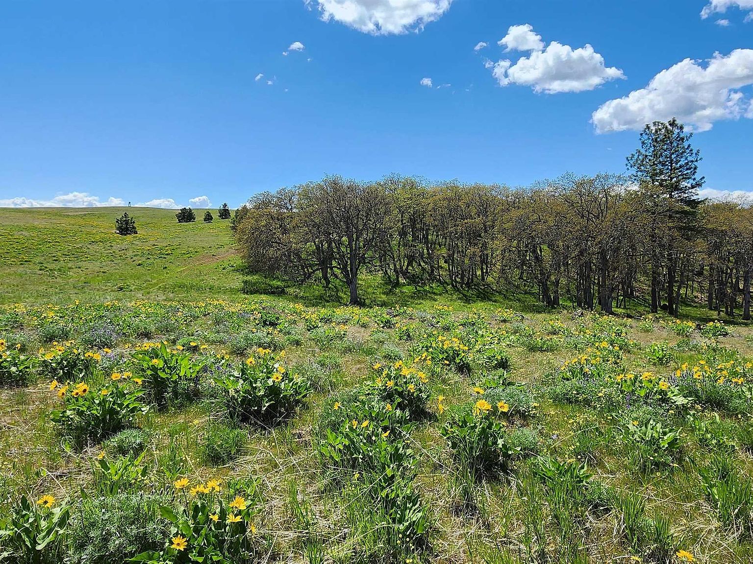 19 Schilling Rd, Lyle, WA 98635 MLS 268678 Zillow