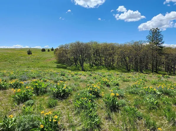 19 Schilling Rd, Lyle, WA 98635