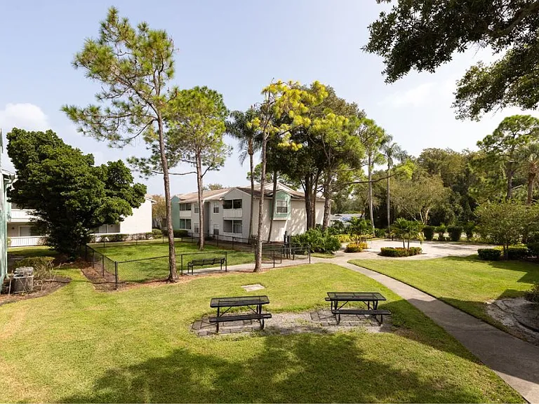 Ascent Citrus Park — Photo 6