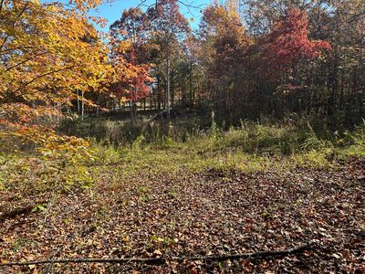1665 Hollis Poore Rd, Jamestown, TN, 38556