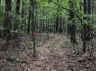 Thomas Chapel Rd, Cottondale, AL 35453