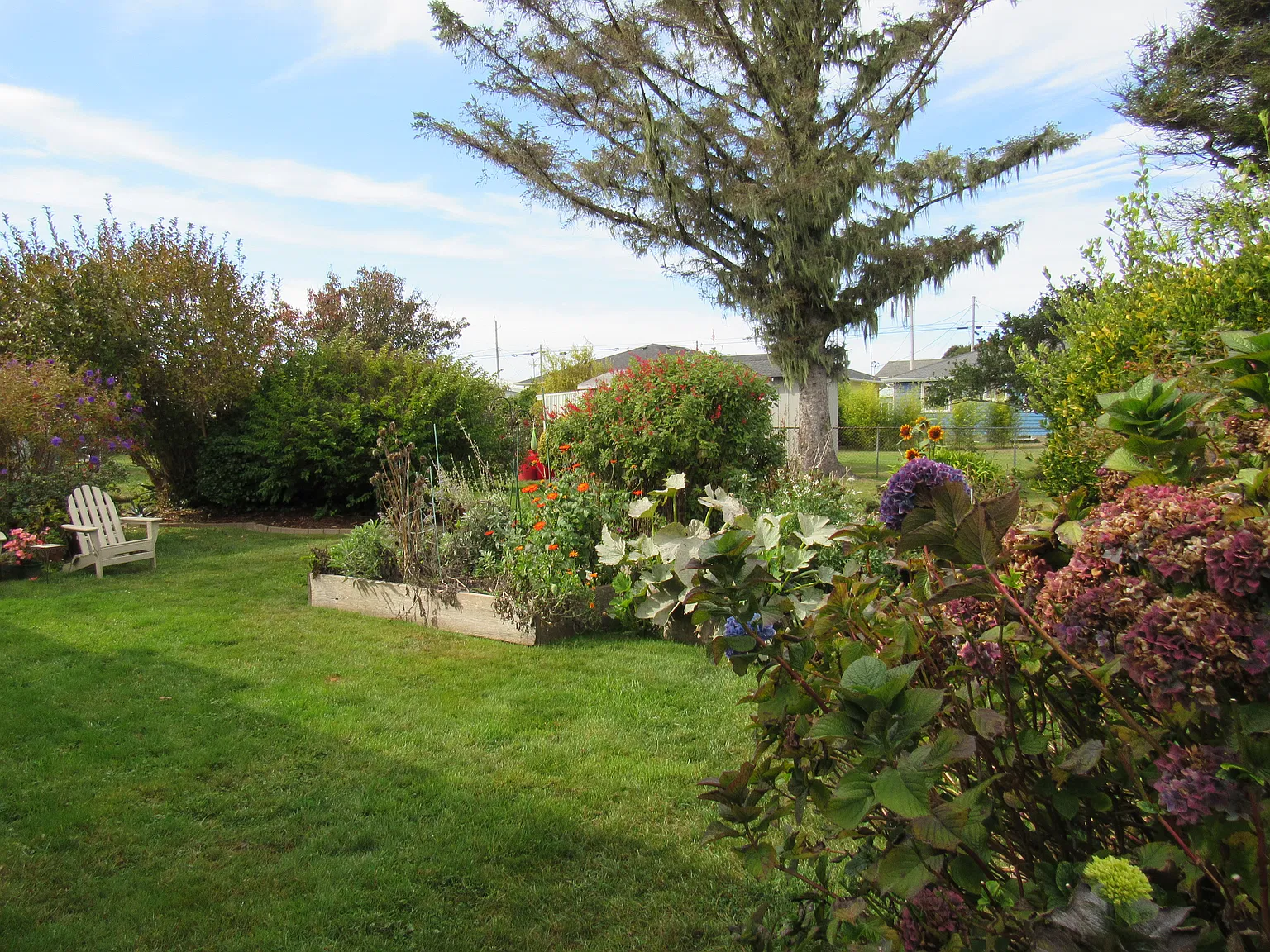 6th St, Crescent City — Photo 2