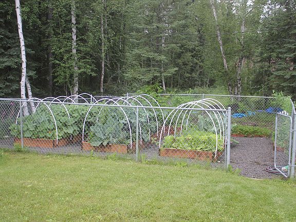 Fenced Garden Area