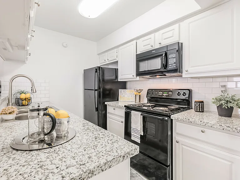 Turtle Pointe Apartments — Photo 2
