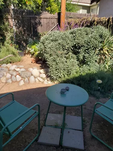 Private backyard garden including outdoor furniture. - 17 1/2 W Pine St