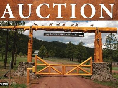 7 N COUNTY ROAD N1332 -- #46, Greer, AZ, 85927