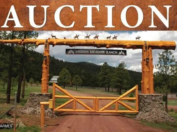 7 N COUNTY ROAD N1332 -- #46, Greer, AZ 85927