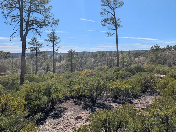 958 NAVAJO Trail #435, Show Low, AZ 85901