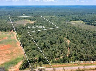 LOT 4 Mayfield Rd, Flovilla, GA 30216