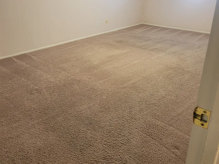 1401 Forest Edge Dr — Photo 10