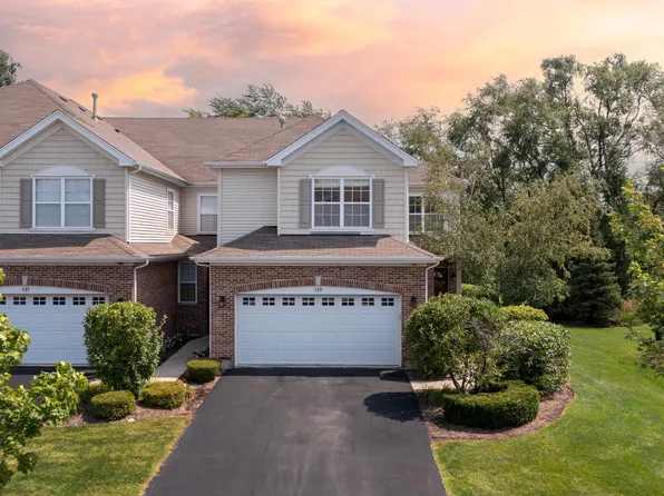 539 Bobby Ann Ct, Roselle, IL 60172