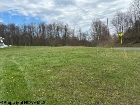 2351 Cuzzart Rd, Bruceton Mills, WV 26525