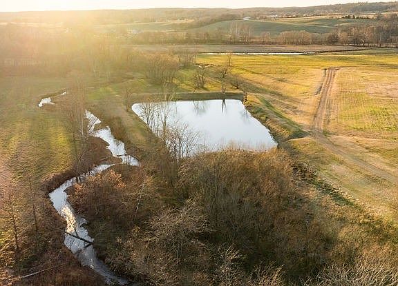 9th image of this home