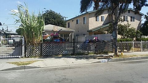 3rd image of 8636 Holmes Ave
