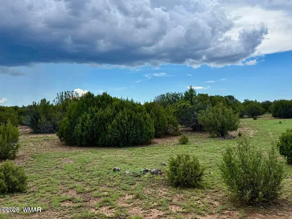 116 County Road 8127, Concho, AZ 85924