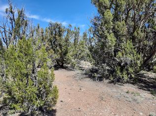 26897 W Fort Rock Rd, Seligman, AZ 86337