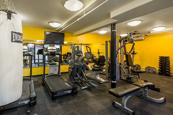 Sold by Bold New York | media 9