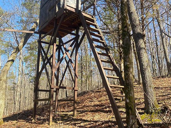 3rd image of 0 Mattox Rd